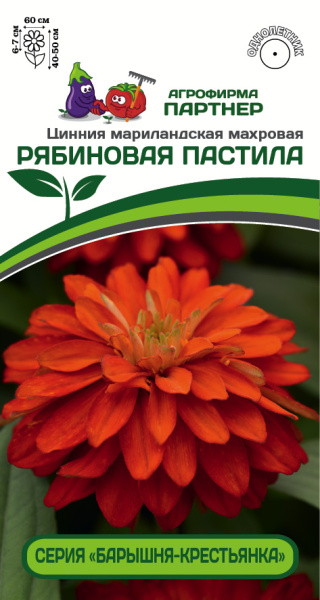 Партнер Цинния РЯБИНОВАЯ ПАСТИЛА / мариландская махровая ^(5шт)