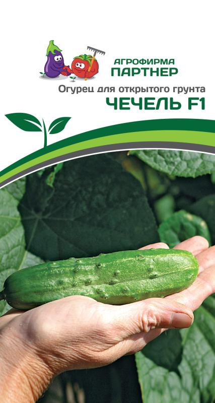 Партнер Огурец ЧЕЧЕЛЬ F1 ^(0,5г)
