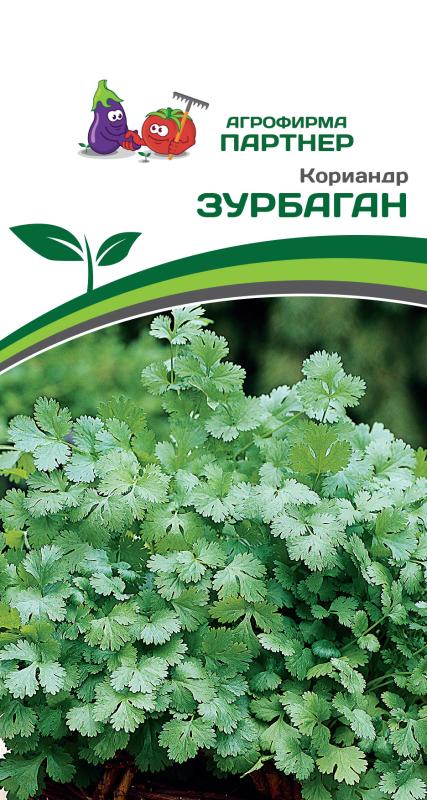 Партнер Кориандр ЗУРБАГАН ^(3г)