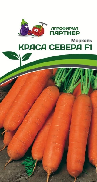 Партнер Морковь КРАСА СЕВЕРА F1 ^(0,5г), изображение 0